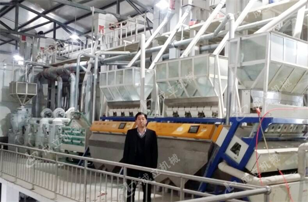 日產(chǎn)180噸成套碾米機(jī)設(shè)備